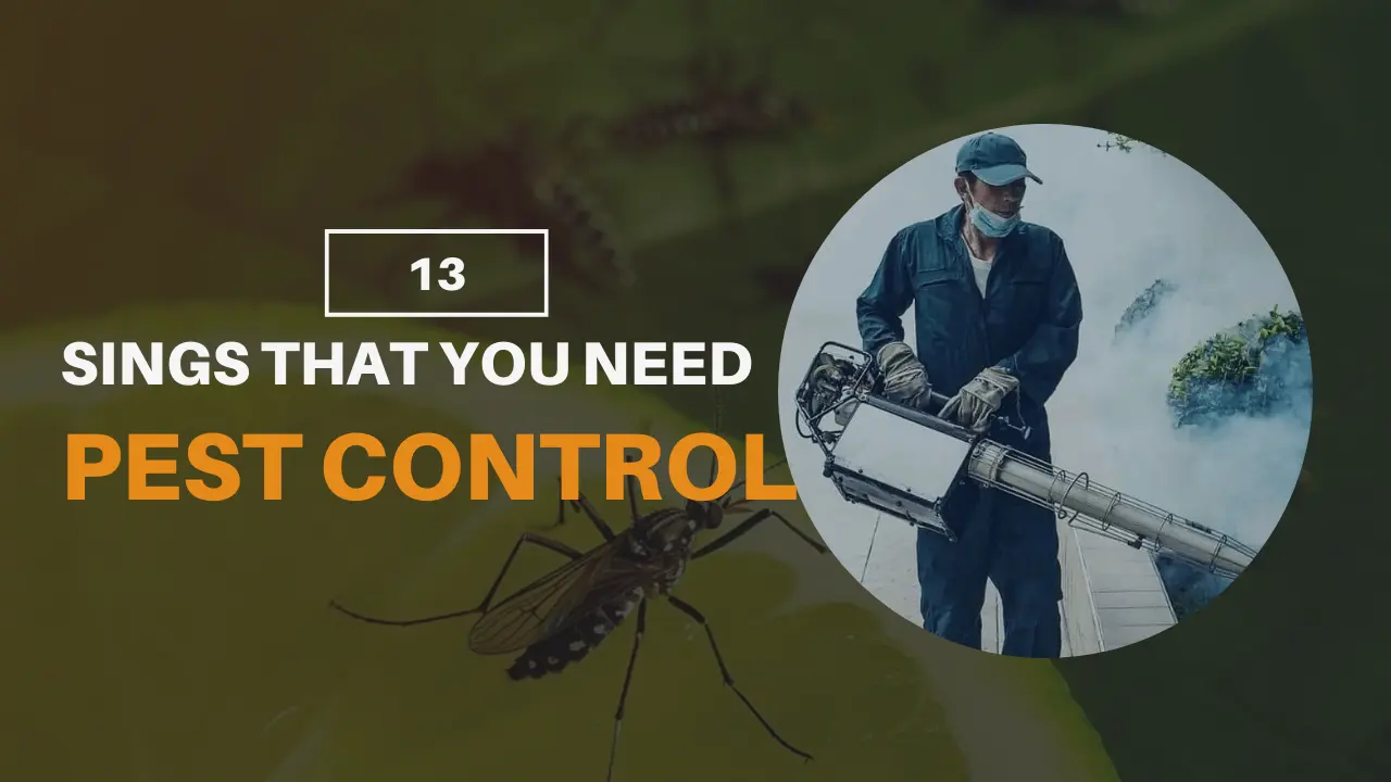 Signs You Need Pest Control