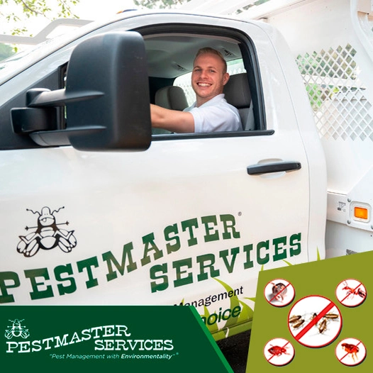 Best No Contract Pest Control Near You