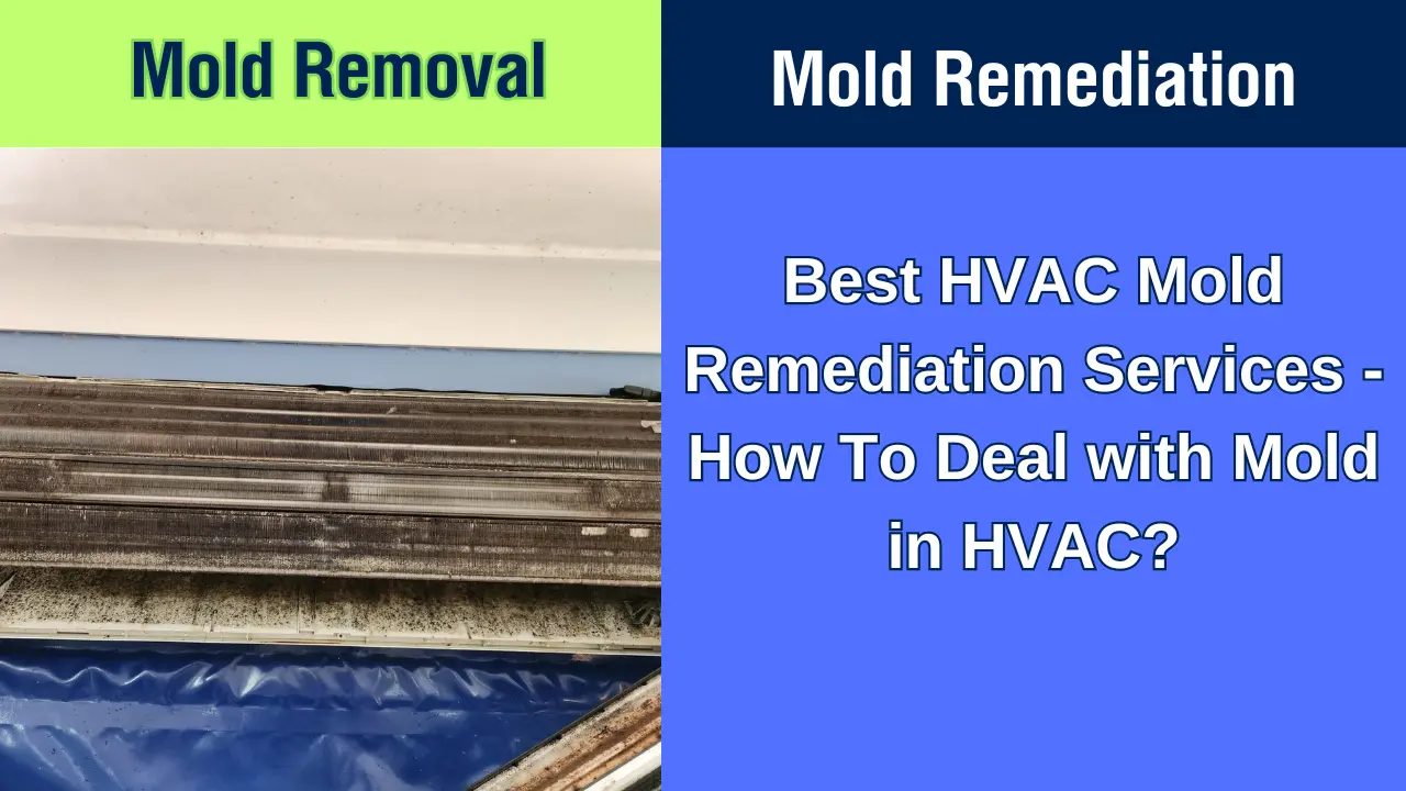 HVAC Mold Remediation