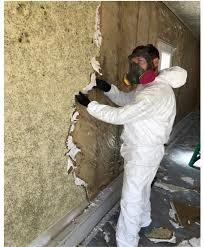 Mold Remediation Service