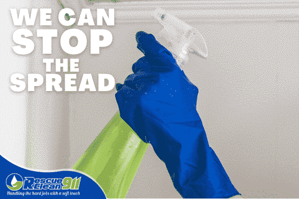 Mold Removal in Miami Dade County