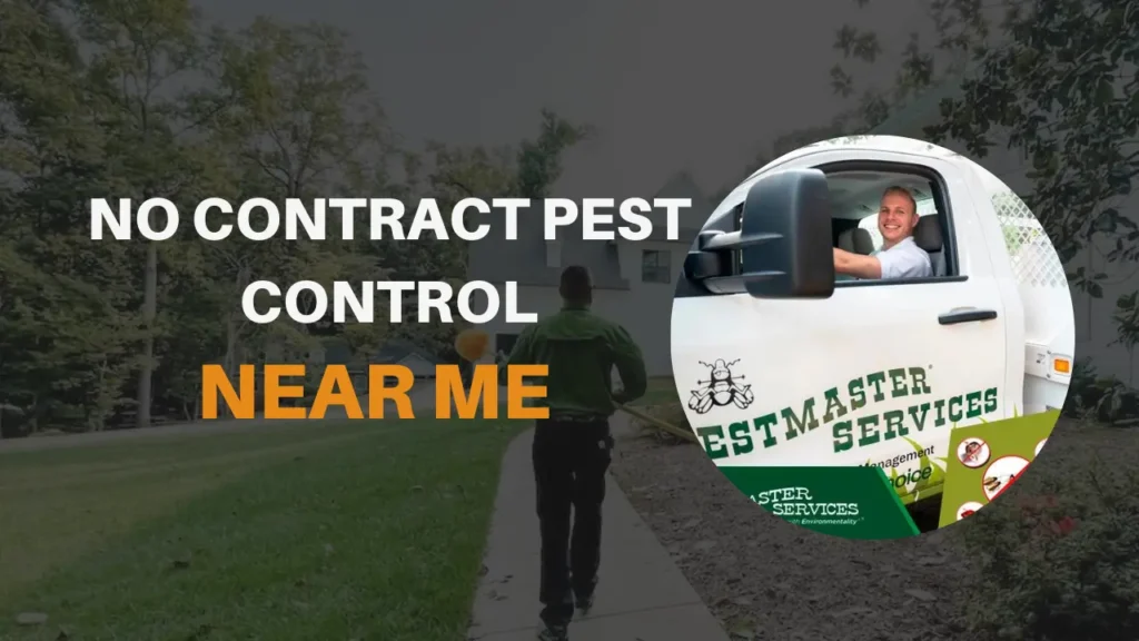 No Contract Pest Control Near Me