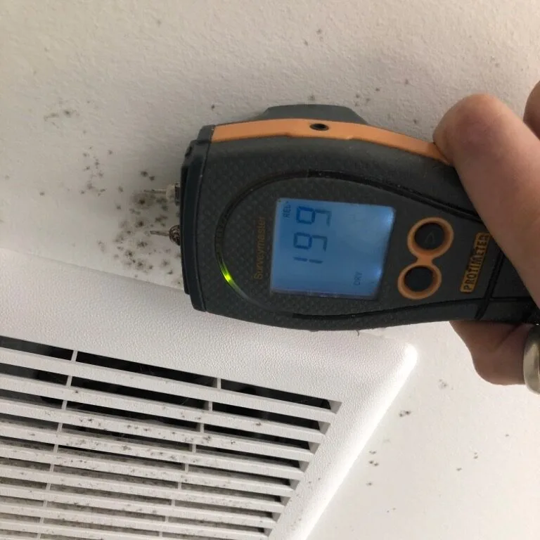 hvac mold removal
