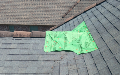 Emergency Roof Leak Repair Near Me